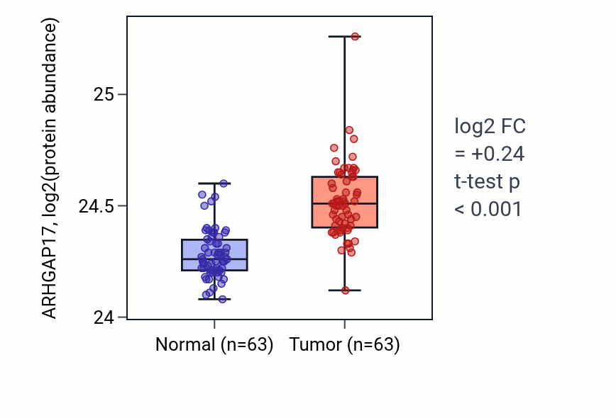 Tumor-vs-normal mass-spec protein box plot for ARHGAP17 in CCRCC.