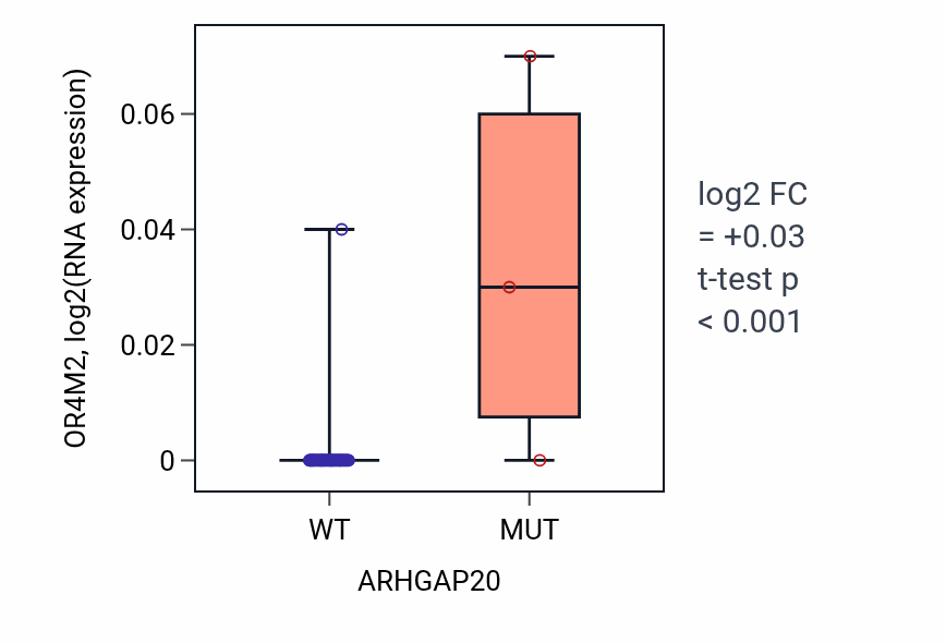 Box plot of OR4M2 in ARHGAP20-low vs ARHGAP20-high samples in OVARY.