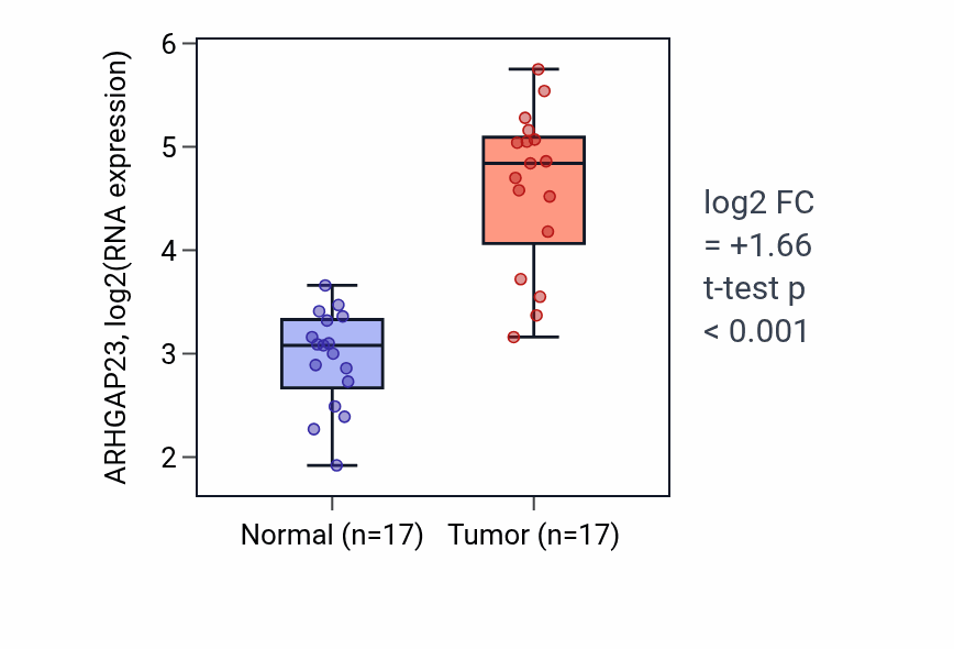 Tumor-vs-normal expression box plot for ARHGAP23 in THCA.