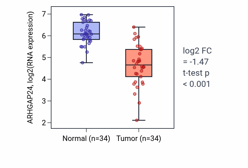 Tumor-vs-normal expression box plot for ARHGAP24 in KIRC.