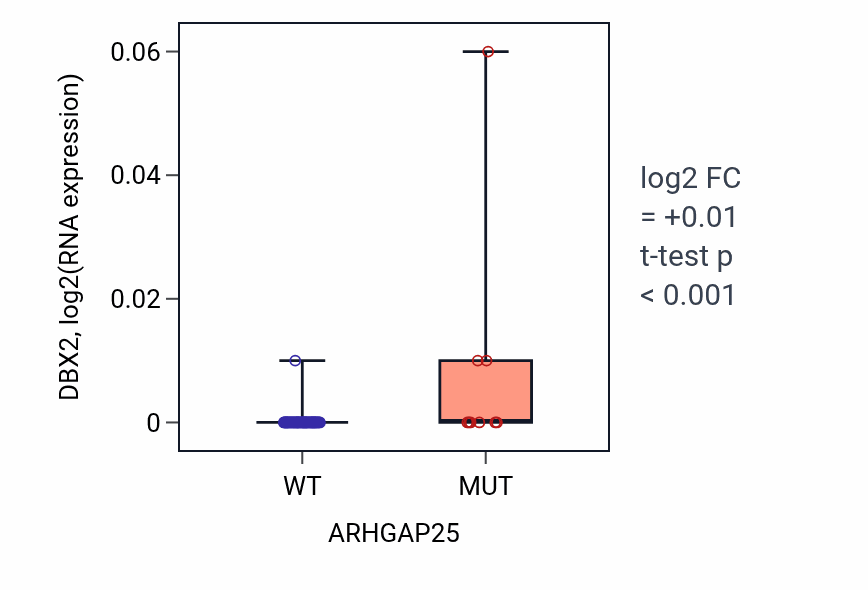 Box plot of DBX2 in ARHGAP25-low vs ARHGAP25-high samples in LARGE_INTESTINE.