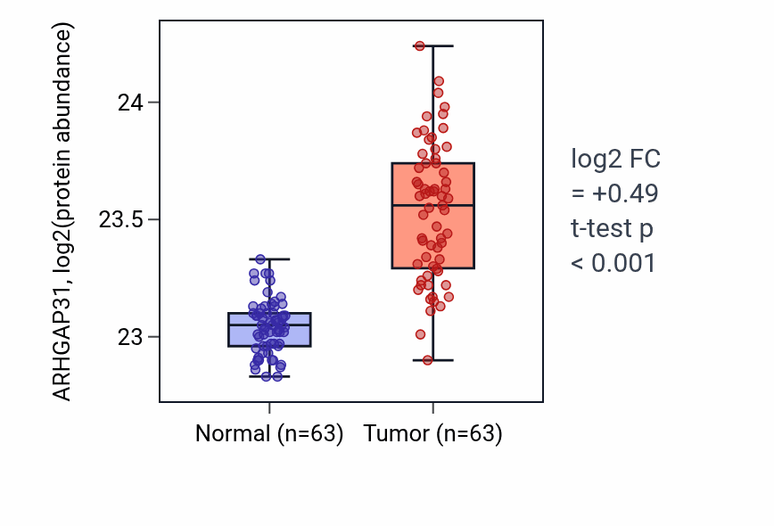 Tumor-vs-normal mass-spec protein box plot for ARHGAP31 in CCRCC.