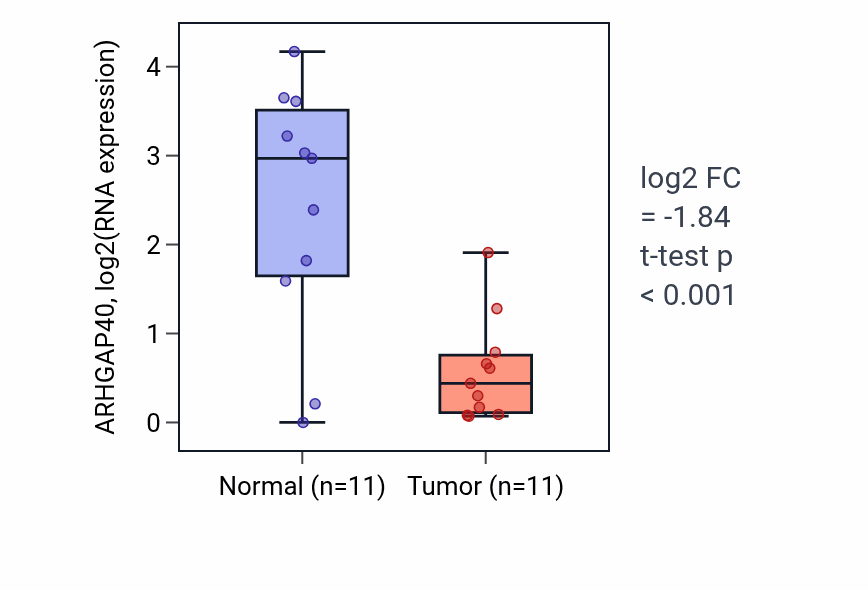 Tumor-vs-normal expression box plot for ARHGAP40 in HNSC.