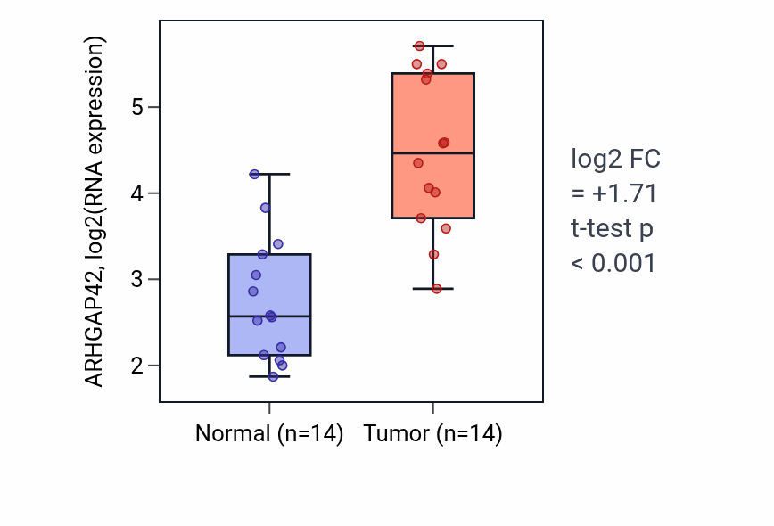 Tumor-vs-normal expression box plot for ARHGAP42 in KIRC.