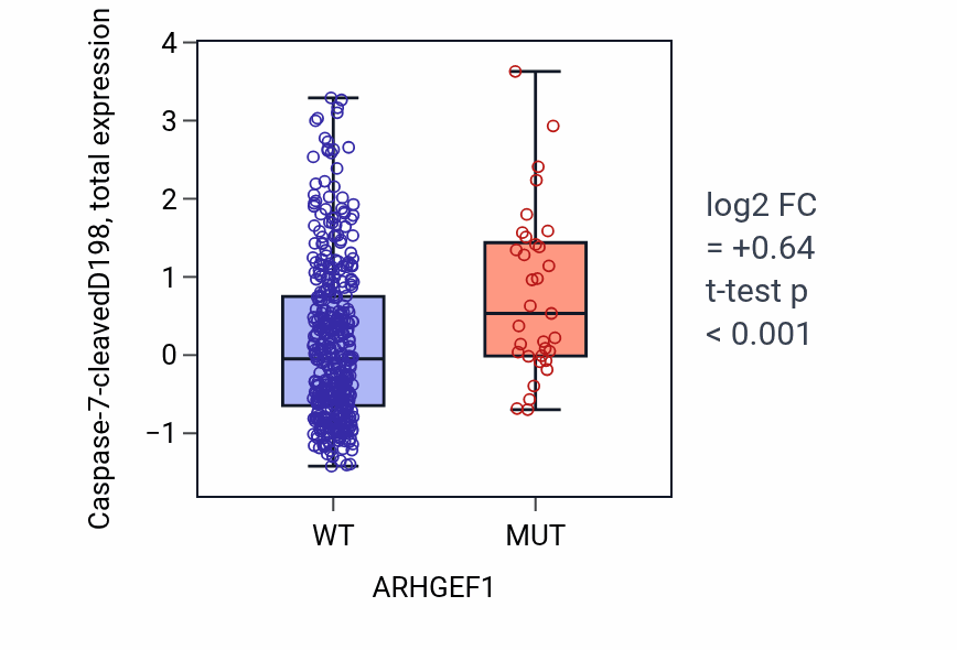 Box plot of Caspase-7-cleavedD198 in ARHGEF1-low vs ARHGEF1-high samples in UCEC.