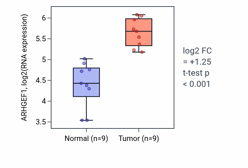 Tumor-vs-normal expression box plot for ARHGEF1 in HNSC.