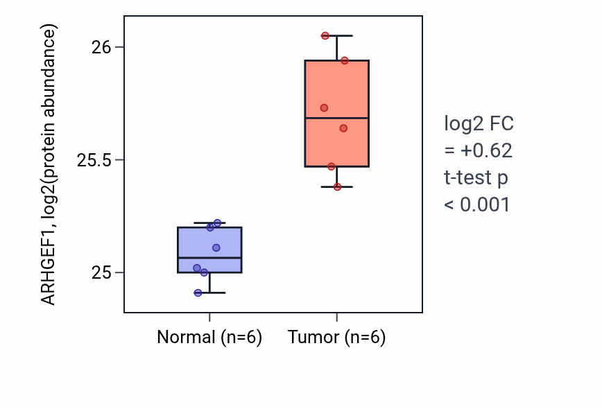 Tumor-vs-normal mass-spec protein box plot for ARHGEF1 in HNSC.