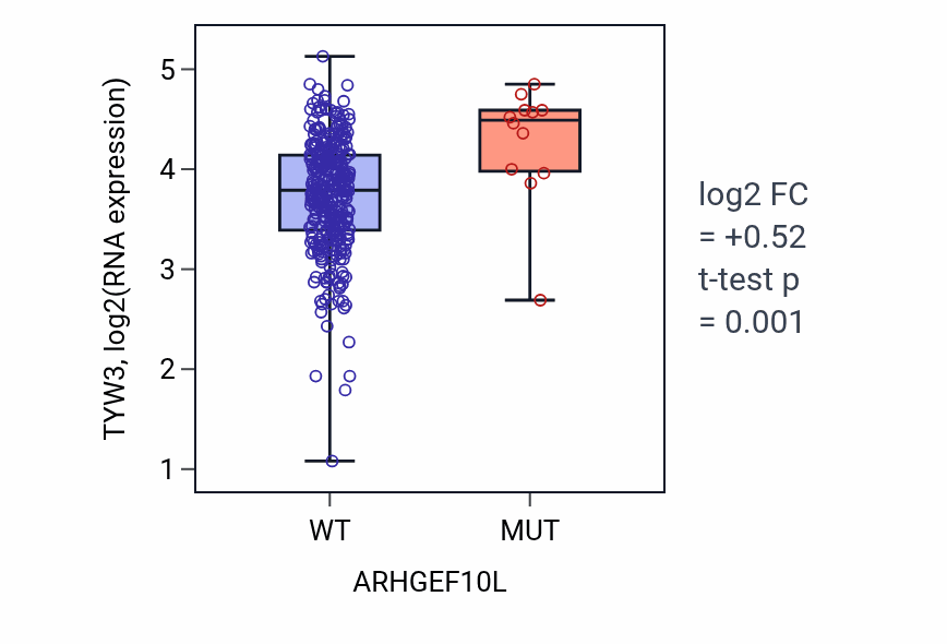 Box plot of TYW3 in ARHGEF10L-low vs ARHGEF10L-high samples in STAD.
