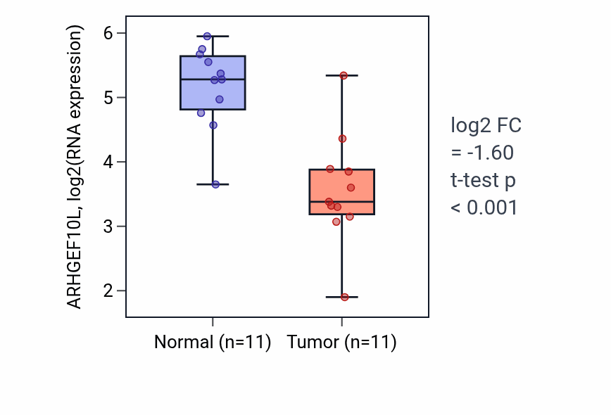 Tumor-vs-normal expression box plot for ARHGEF10L in HNSC.