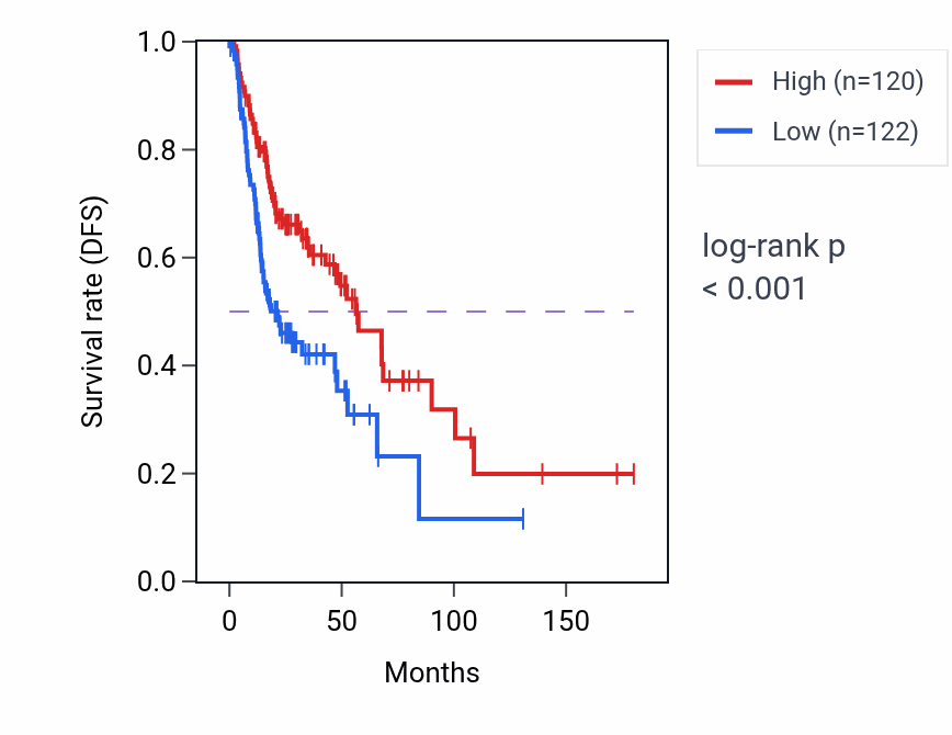 Kaplan&ndash;Meier survival curve for ARHGEF11 RNA expression in HNSC: high vs low expression groups.