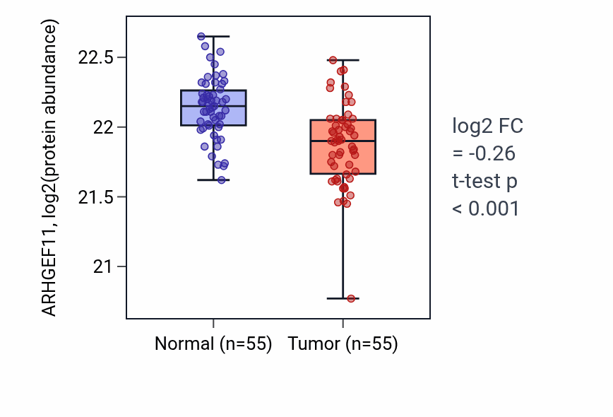 Tumor-vs-normal mass-spec protein box plot for ARHGEF11 in COAD.