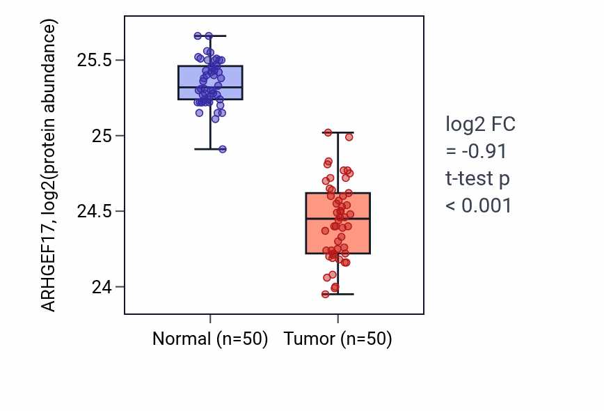 Tumor-vs-normal mass-spec protein box plot for ARHGEF17 in LSCC.