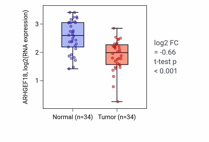 Tumor-vs-normal expression box plot for ARHGEF18 RNA in KIRC.