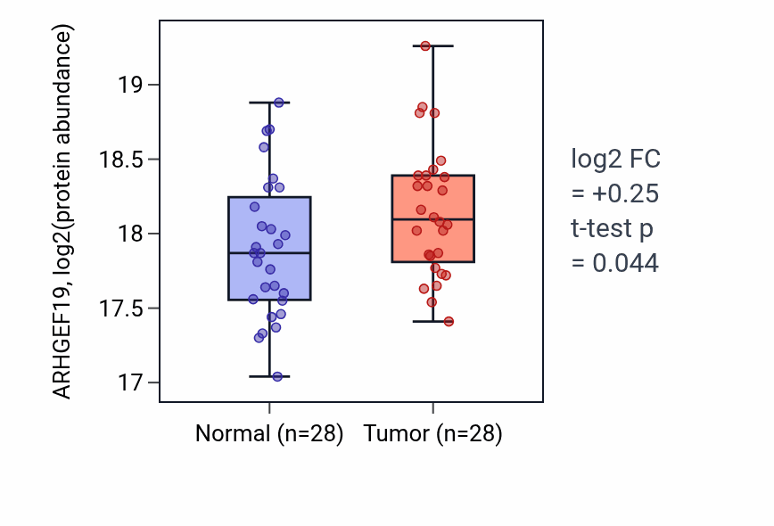 Tumor-vs-normal mass-spec protein box plot for ARHGEF19 in LUAD.