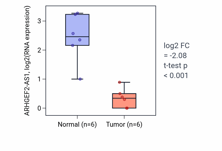 Tumor-vs-normal expression box plot for ARHGEF2-AS1 in LUAD.