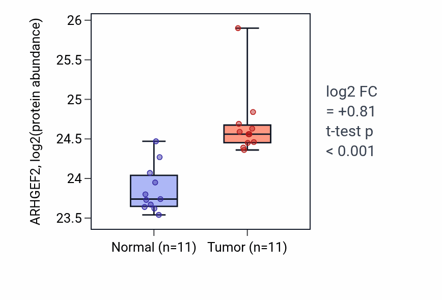 Tumor-vs-normal mass-spec protein box plot for ARHGEF2 in CCRCC.