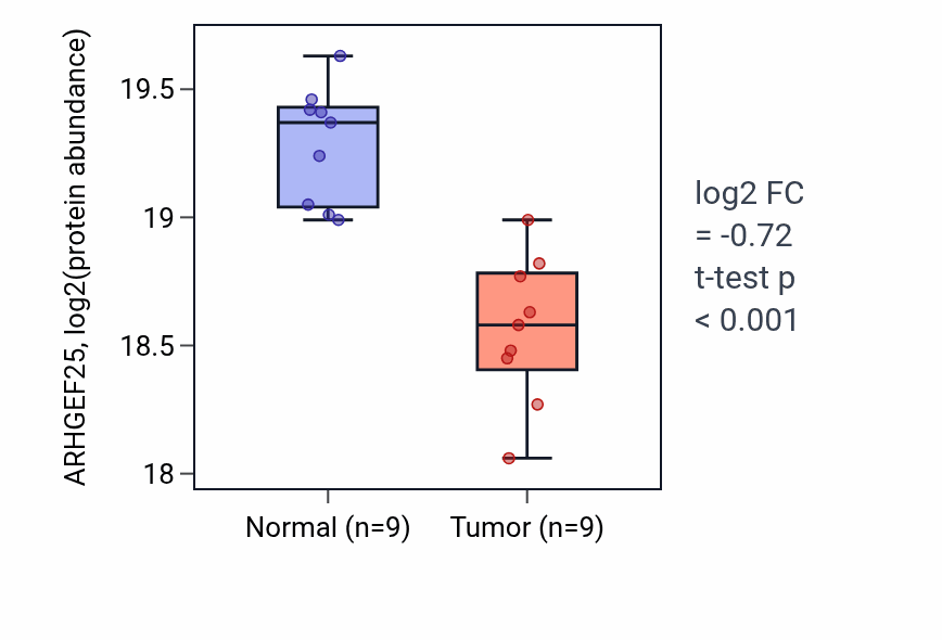 Tumor-vs-normal mass-spec protein box plot for ARHGEF25 in LSCC.