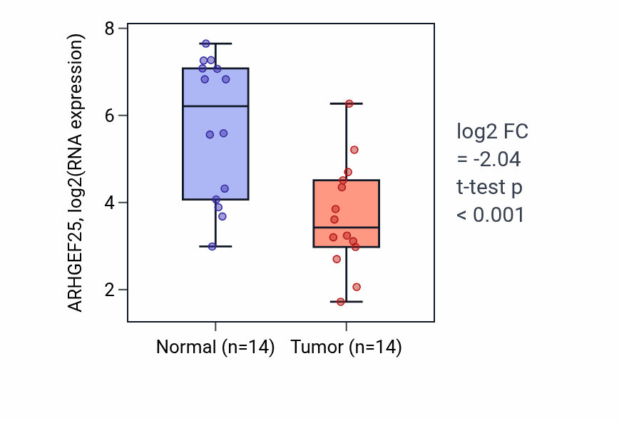 Tumor-vs-normal expression box plot for ARHGEF25 RNA in BLCA.