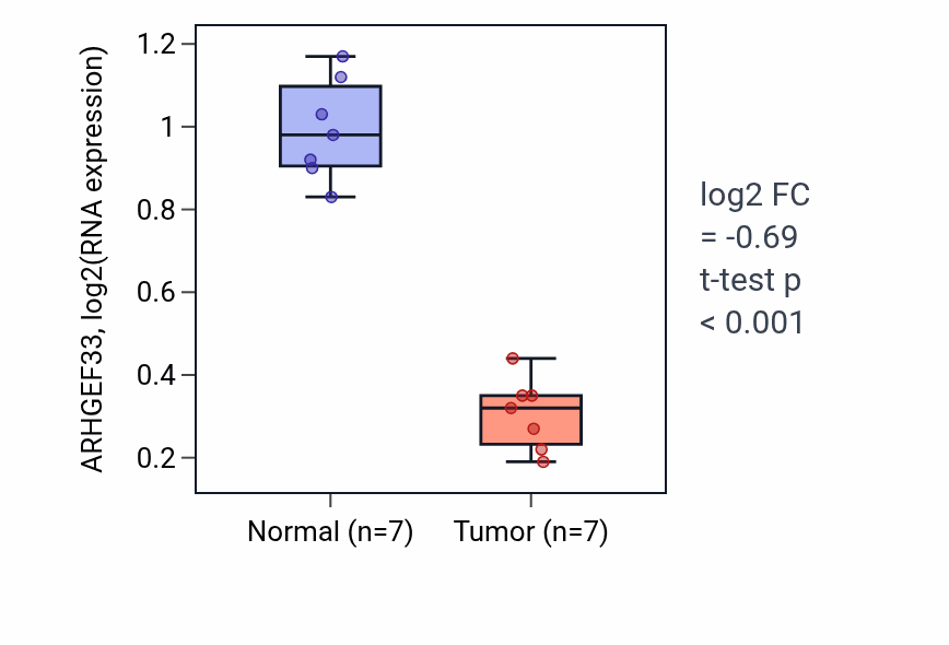 Tumor-vs-normal expression box plot for ARHGEF33 in THCA.