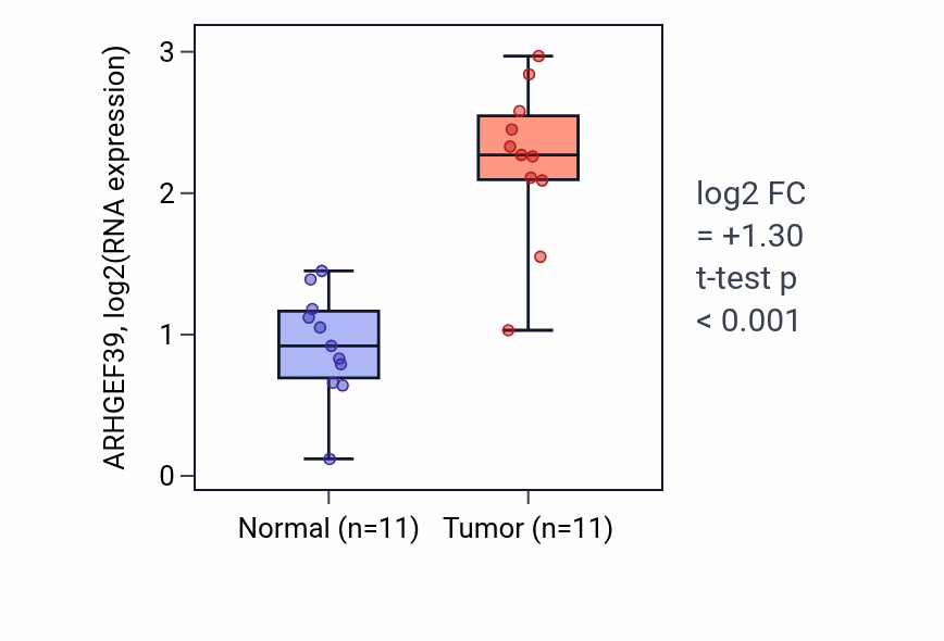 Tumor-vs-normal expression box plot for ARHGEF39 in HNSC.