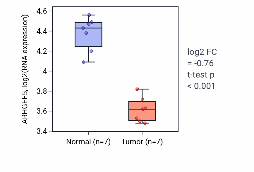 Tumor-vs-normal expression box plot for ARHGEF5 in THCA.