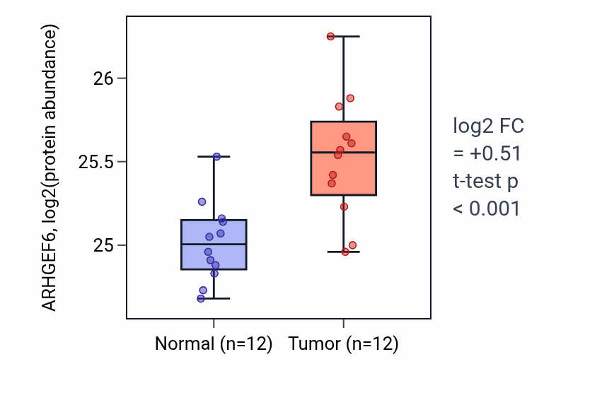 Tumor-vs-normal mass-spec protein box plot for ARHGEF6 in CCRCC.
