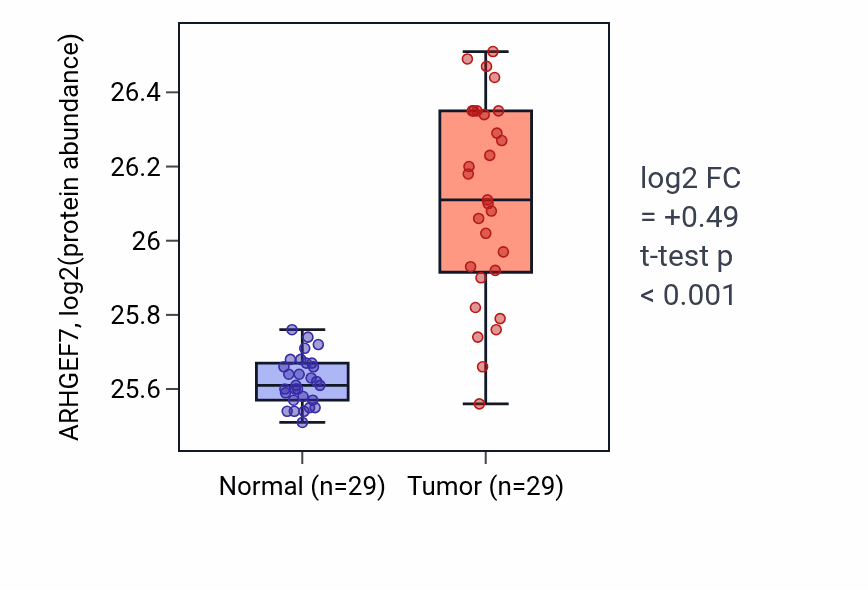 Tumor-vs-normal mass-spec protein box plot for ARHGEF7 in CCRCC.