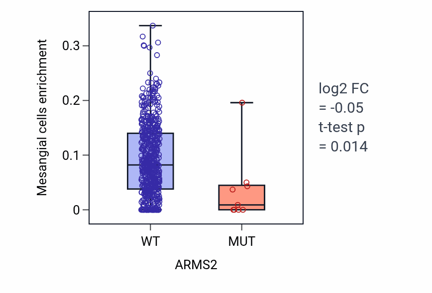 Box plot of Mesangial cells in ARMS2-low vs ARMS2-high samples in UCEC.