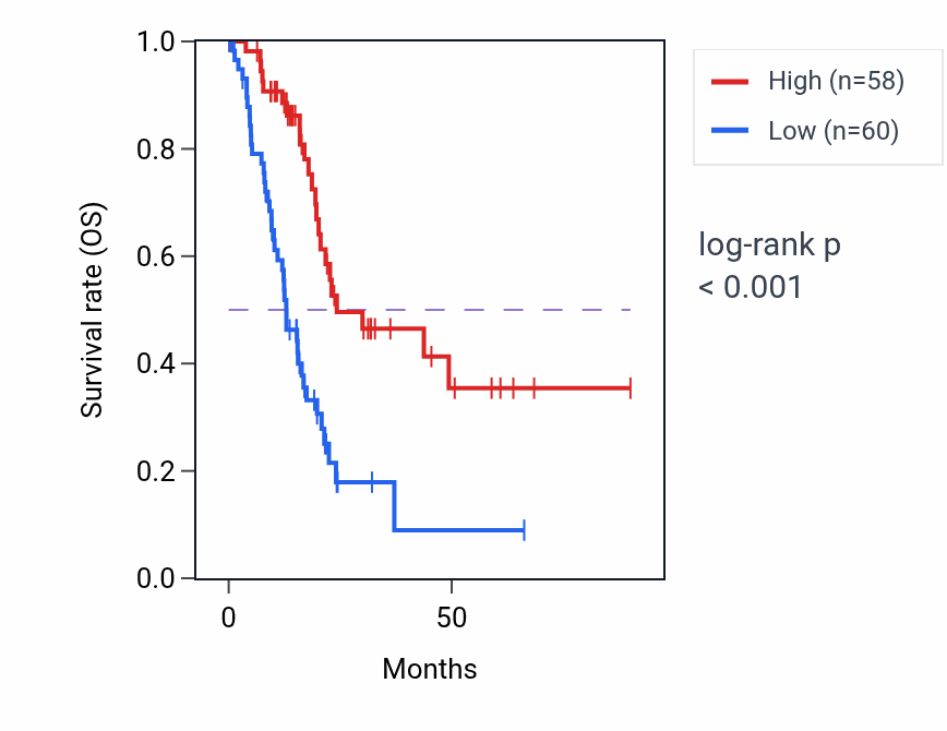 Kaplan&ndash;Meier survival curve for ARNT2 RNA expression in PAAD: high vs low expression groups.