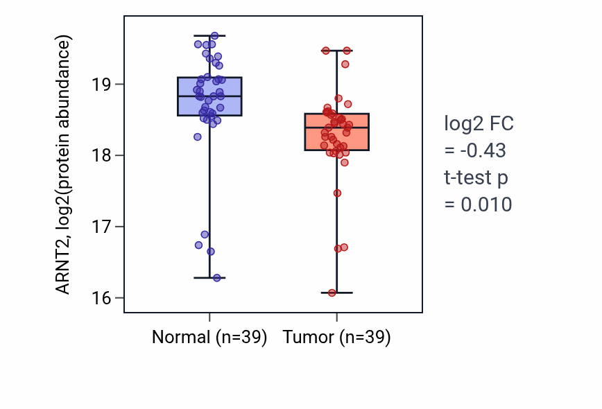 Tumor-vs-normal mass-spec protein box plot for ARNT2 in CCRCC.