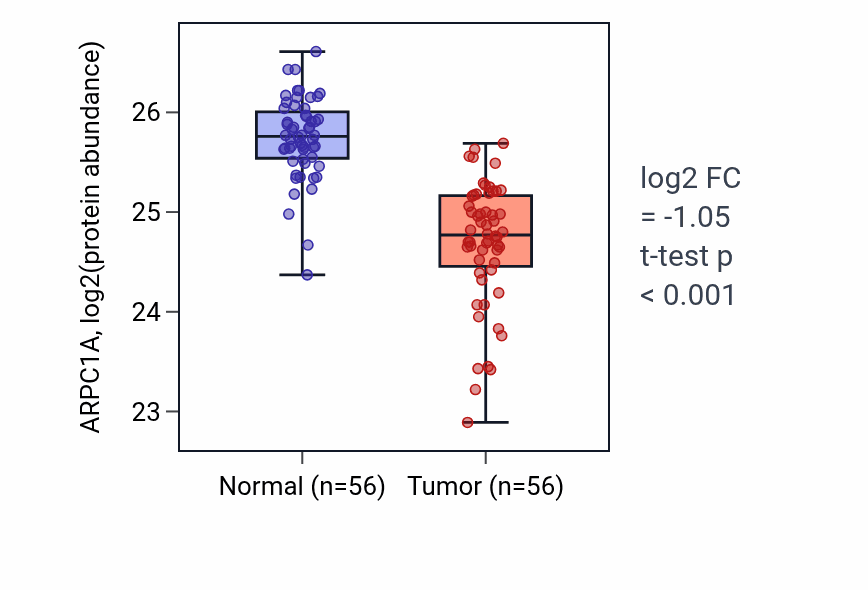 Tumor-vs-normal mass-spec protein box plot for ARPC1A in HNSC.