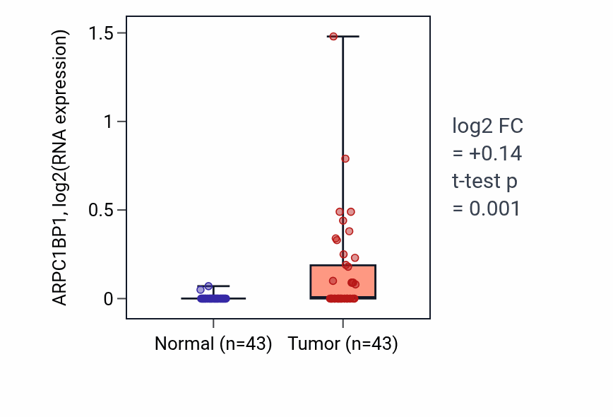 Tumor-vs-normal expression box plot for ARPC1BP1 in HNSC.