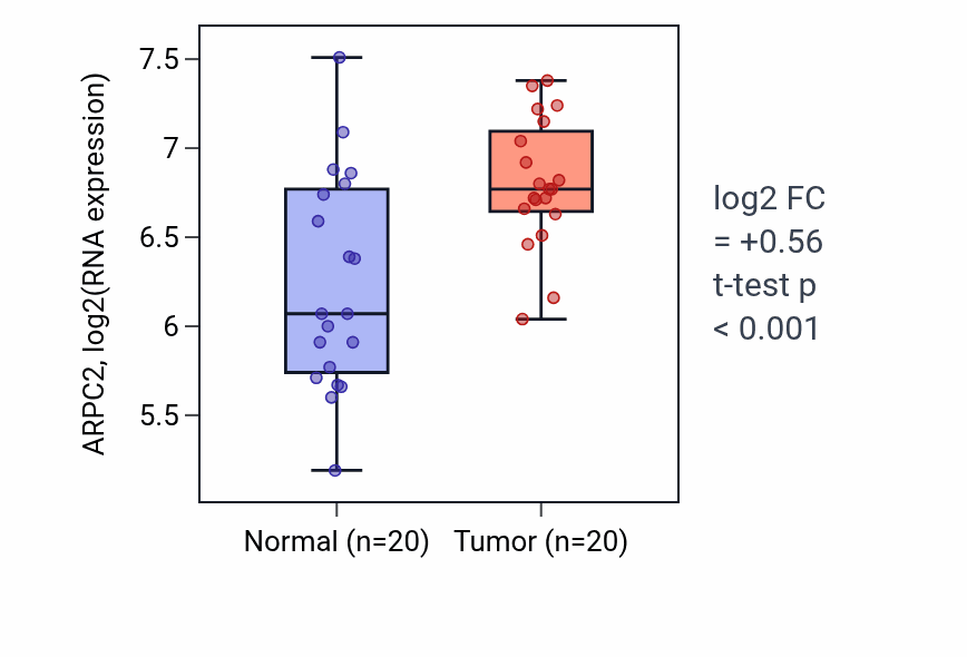 Tumor-vs-normal expression box plot for ARPC2 in KIRC.