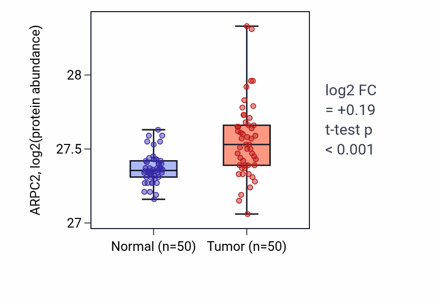 Tumor-vs-normal mass-spec protein box plot for ARPC2 in CCRCC.