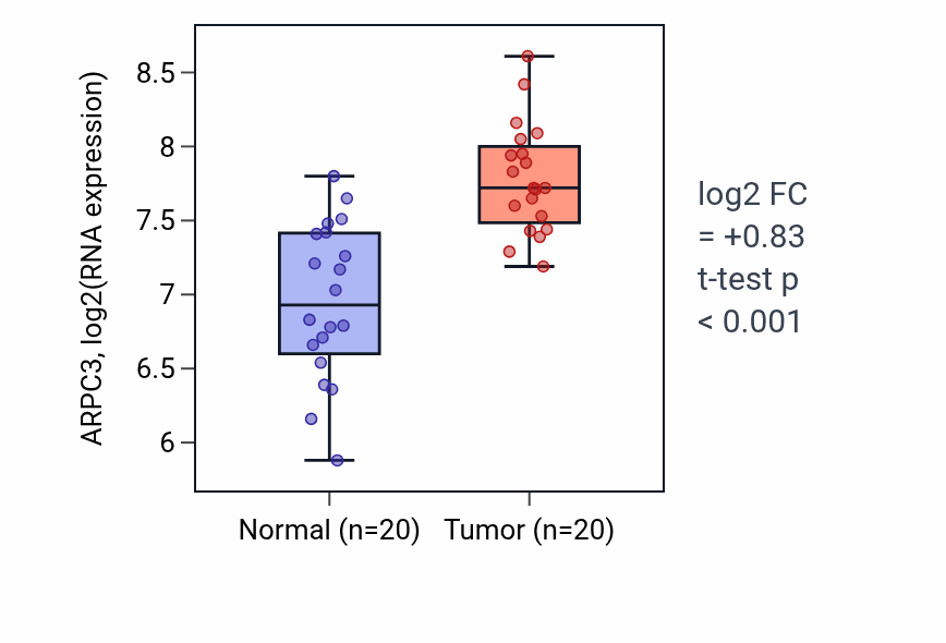 Tumor-vs-normal expression box plot for ARPC3 in KIRC.