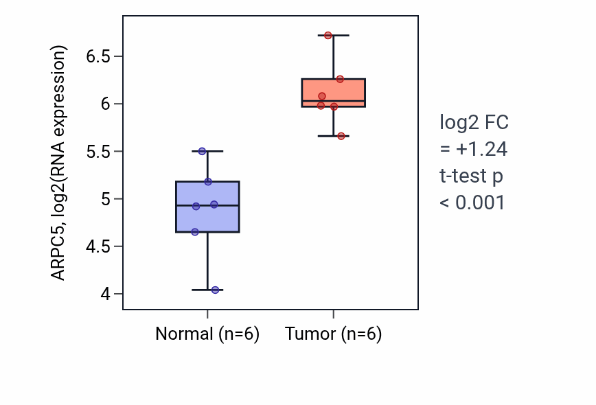 Tumor-vs-normal expression box plot for ARPC5 in HNSC.