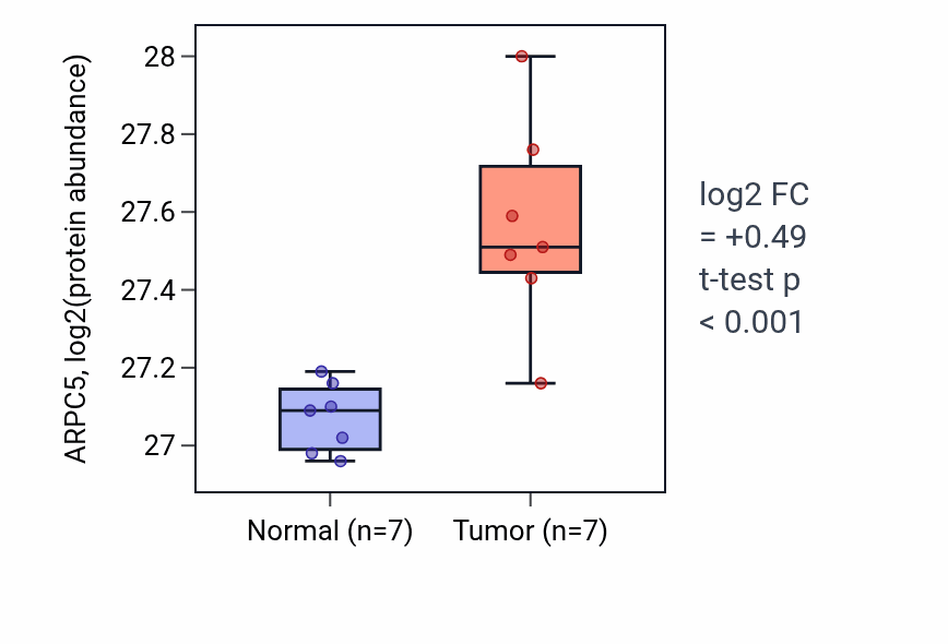 Tumor-vs-normal mass-spec protein box plot for ARPC5 in CCRCC.