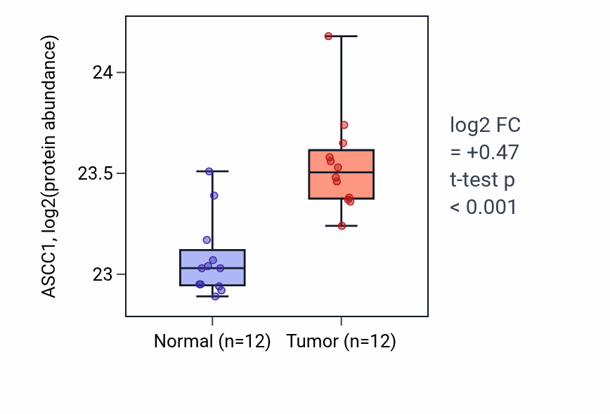 Tumor-vs-normal mass-spec protein box plot for ASCC1 in CCRCC.