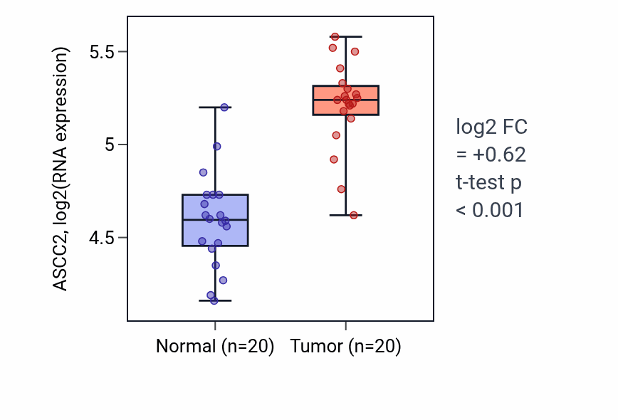 Tumor-vs-normal expression box plot for ASCC2 in KIRC.