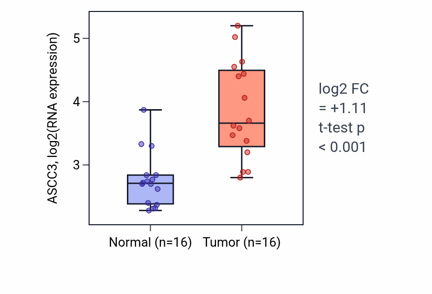 Tumor-vs-normal expression box plot for ASCC3 RNA in KIRP.