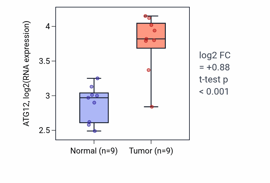 Tumor-vs-normal expression box plot for ATG12 RNA in HNSC.