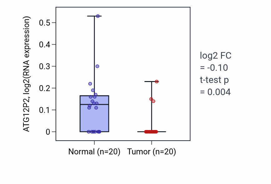 Tumor-vs-normal expression box plot for ATG12P2 in KIRC.