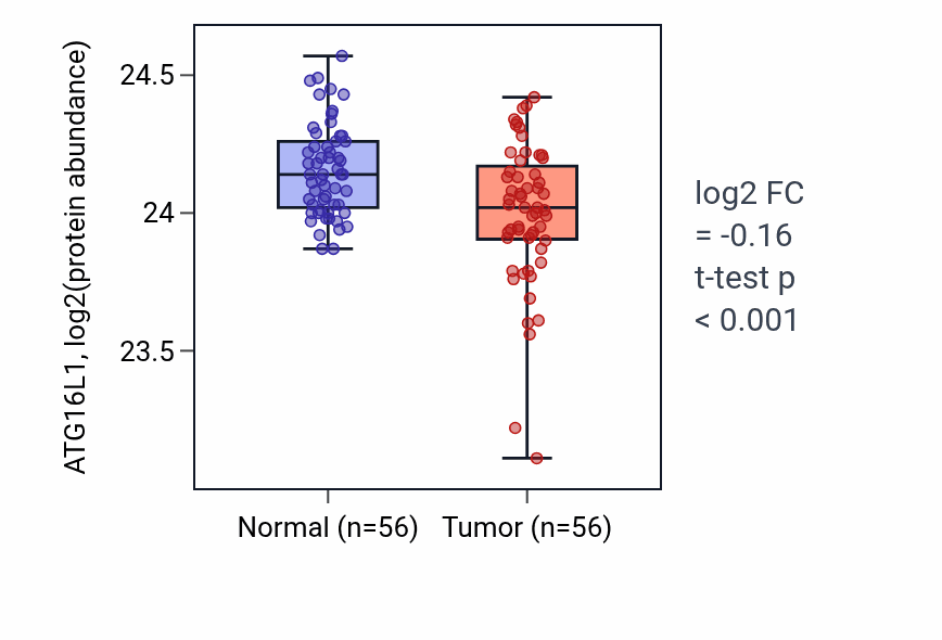 Tumor-vs-normal mass-spec protein box plot for ATG16L1 in HNSC.