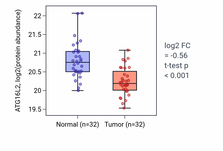 Tumor-vs-normal mass-spec protein box plot for ATG16L2 in LSCC.