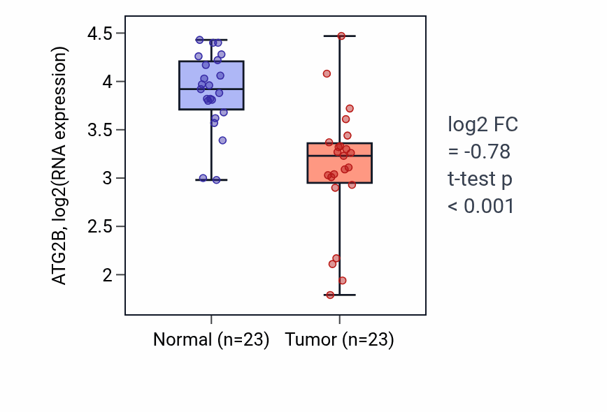 Tumor-vs-normal expression box plot for ATG2B in THCA.