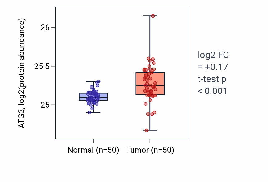 Tumor-vs-normal mass-spec protein box plot for ATG3 in CCRCC.
