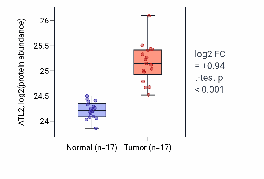 Tumor-vs-normal mass-spec protein box plot for ATL2 in LSCC.