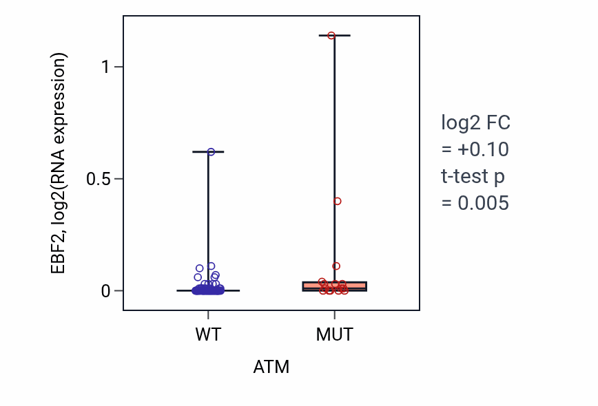 Box plot of EBF2 in ATM-low vs ATM-high samples in BLOOD_Leukemia.
