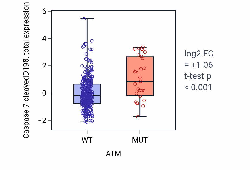 Box plot of Caspase-7-cleavedD198 in ATM-low vs ATM-high samples in COAD.