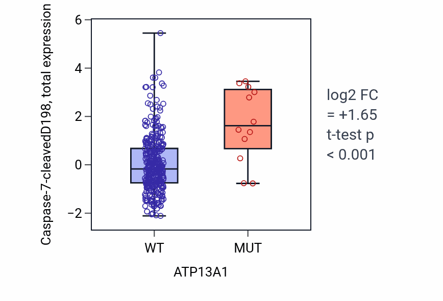 Box plot of Caspase-7-cleavedD198 in ATP13A1-low vs ATP13A1-high samples in COAD.
